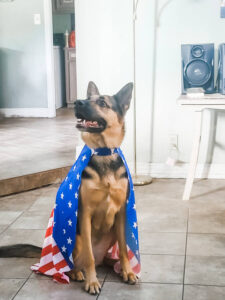 https://petstablished-app-beta.s3.amazonaws.com/uploads/image/image/2653691/Resized_20220702_083622.jpg