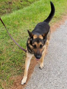 https://petstablished-app-beta.s3.amazonaws.com/uploads/image/image/1391331/Texas_4.jpg