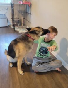 https://petstablished-app-beta.s3.amazonaws.com/uploads/image/image/2376498/Xena_1.jpg