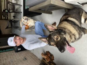 https://petstablished-app-beta.s3.amazonaws.com/uploads/image/image/3051628/ht-bear1.jpeg