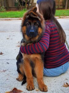 https://petstablished-app-beta.s3.amazonaws.com/uploads/image/image/3116264/1AB4B42A-7CD9-45AB-A0E3-CD76CB0C4AA9.jpeg